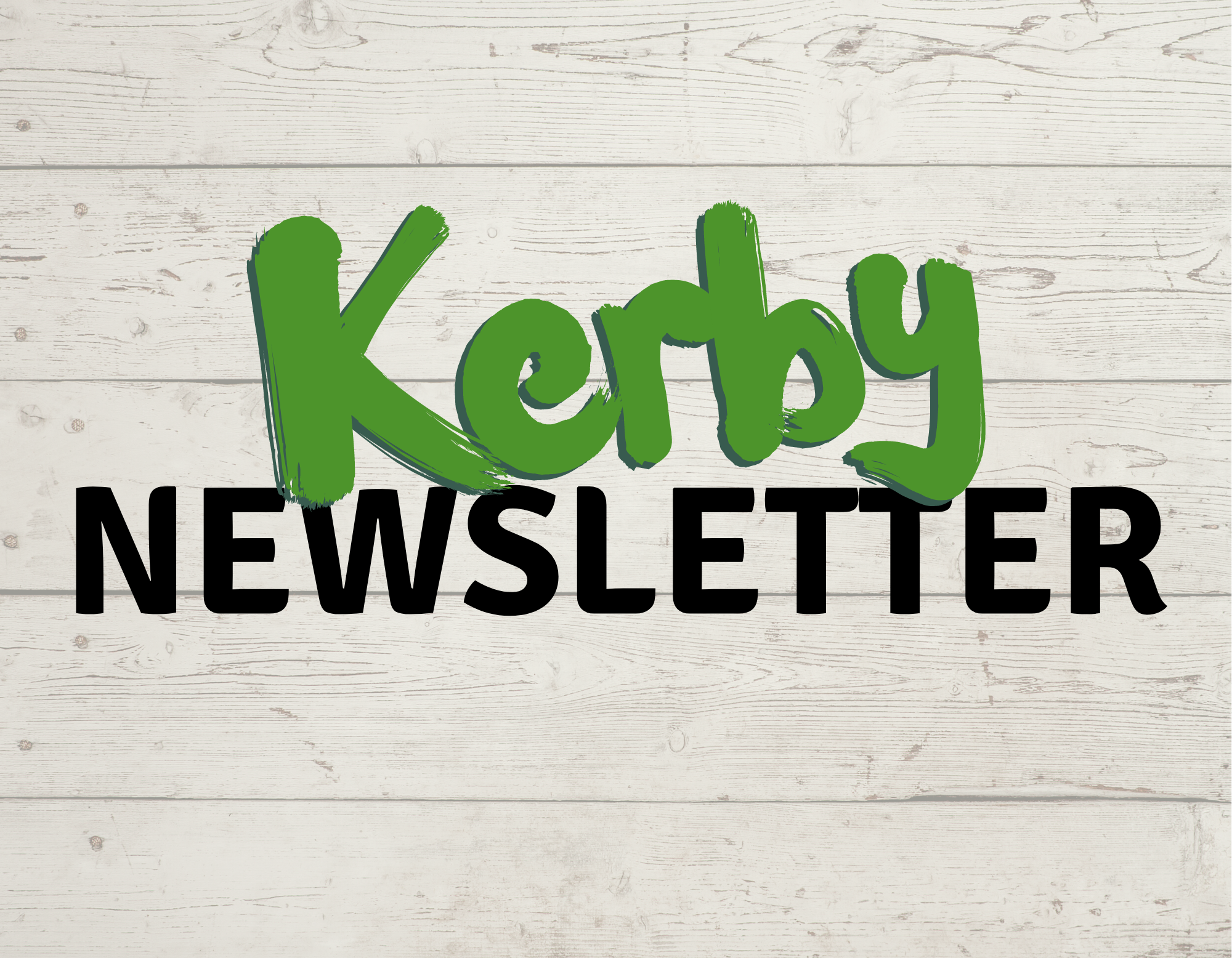 Newsletter text in fancy font